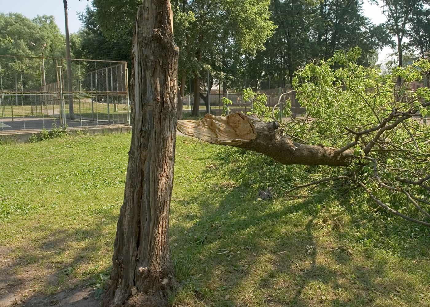 image-sub-4443 About Smokeless Heat Logs