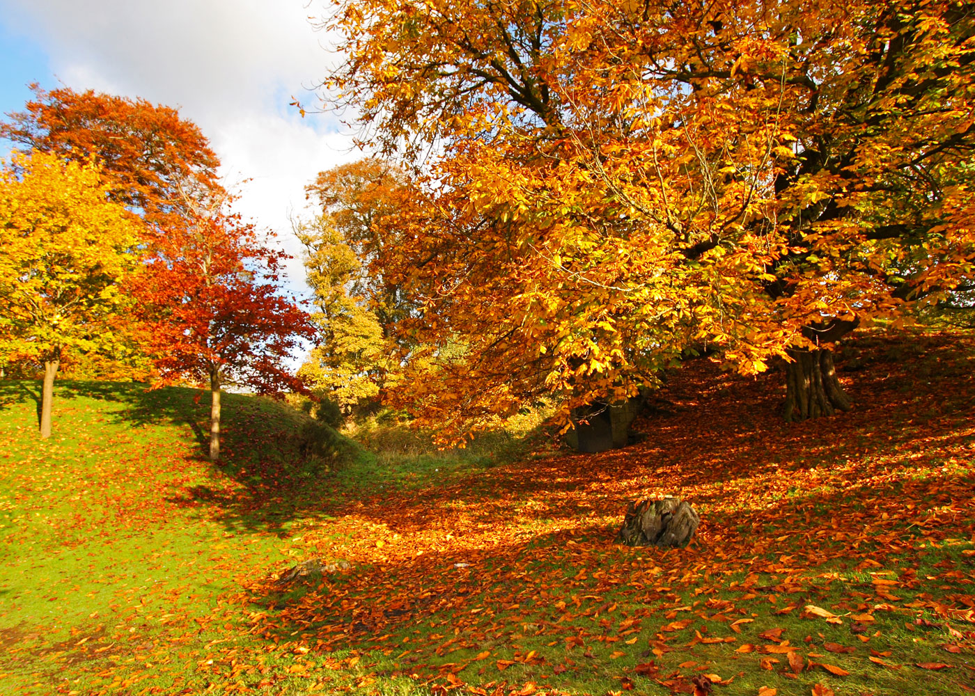 image-sub-4443 About Smokeless Heat Logs